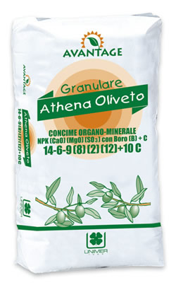 Athena Oliveto 14-6-9(8)(2)(12)+10C - Magricola - Senise (PZ)